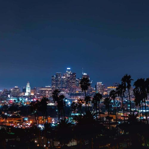 Aerial view of the Downtown LA skyline with palm trees in the foreground
